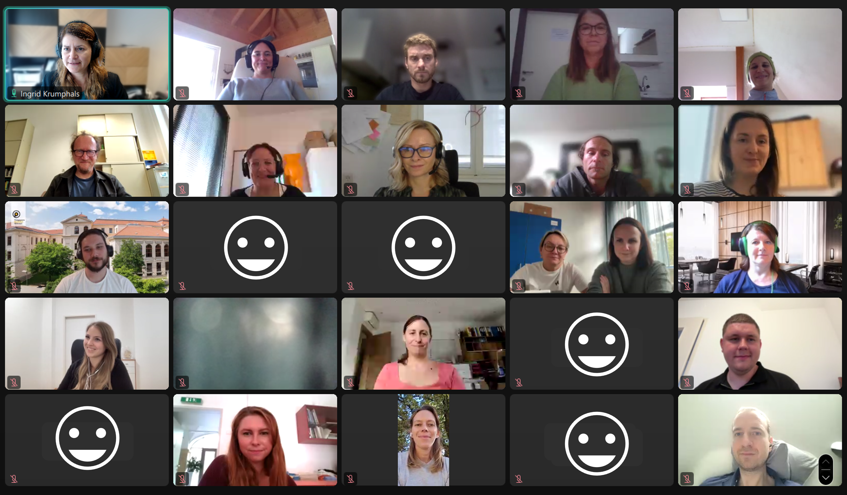 Online Meeting